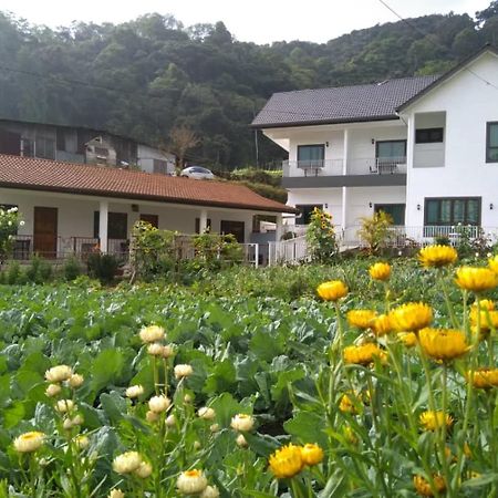 Ng Family'S Farm Stay Κάμερον Χάιλαντς Εξωτερικό φωτογραφία