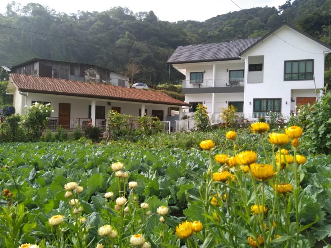 Ng Family'S Farm Stay Κάμερον Χάιλαντς Εξωτερικό φωτογραφία